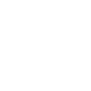 Icon Webshop